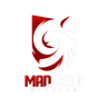Mad Bird Studios